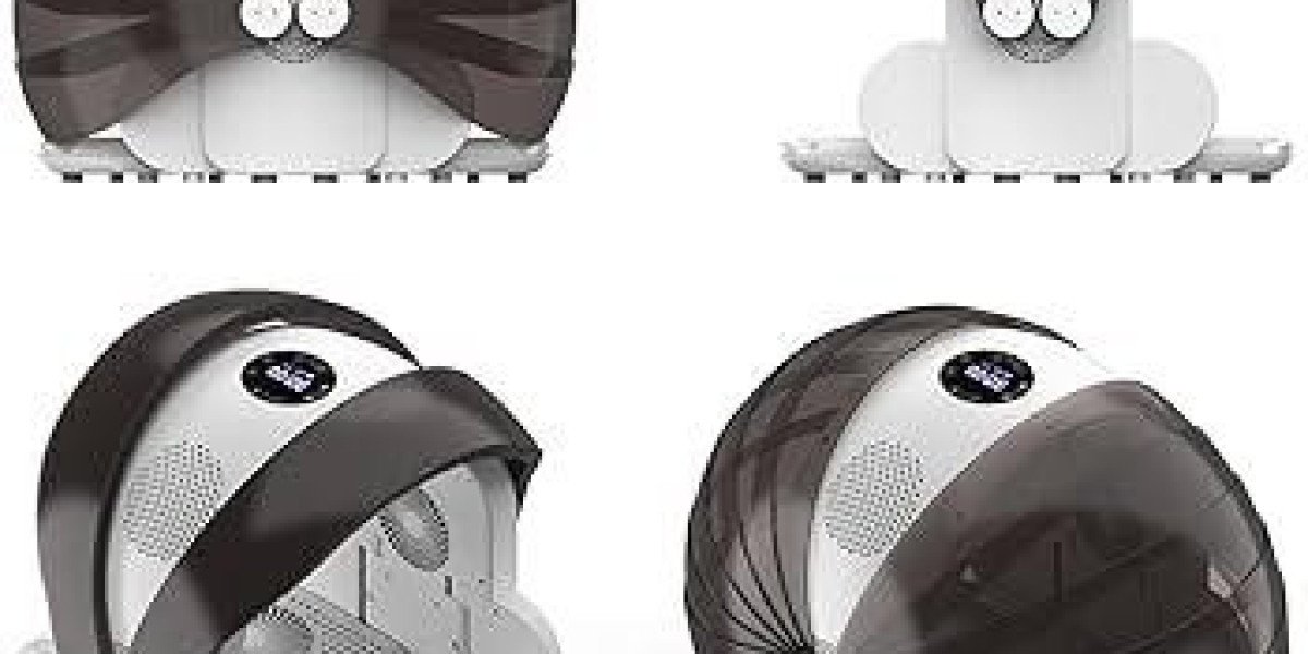 Why Pawtechpet Pet Dryer Enhances Daily Pet Care